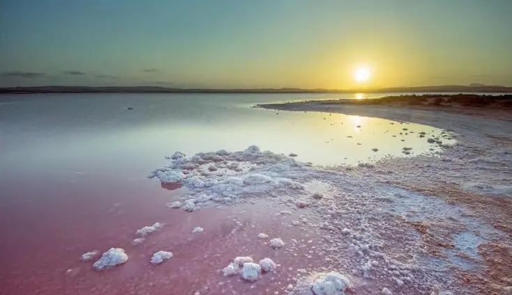 Laguna Rosa de Torrevieja