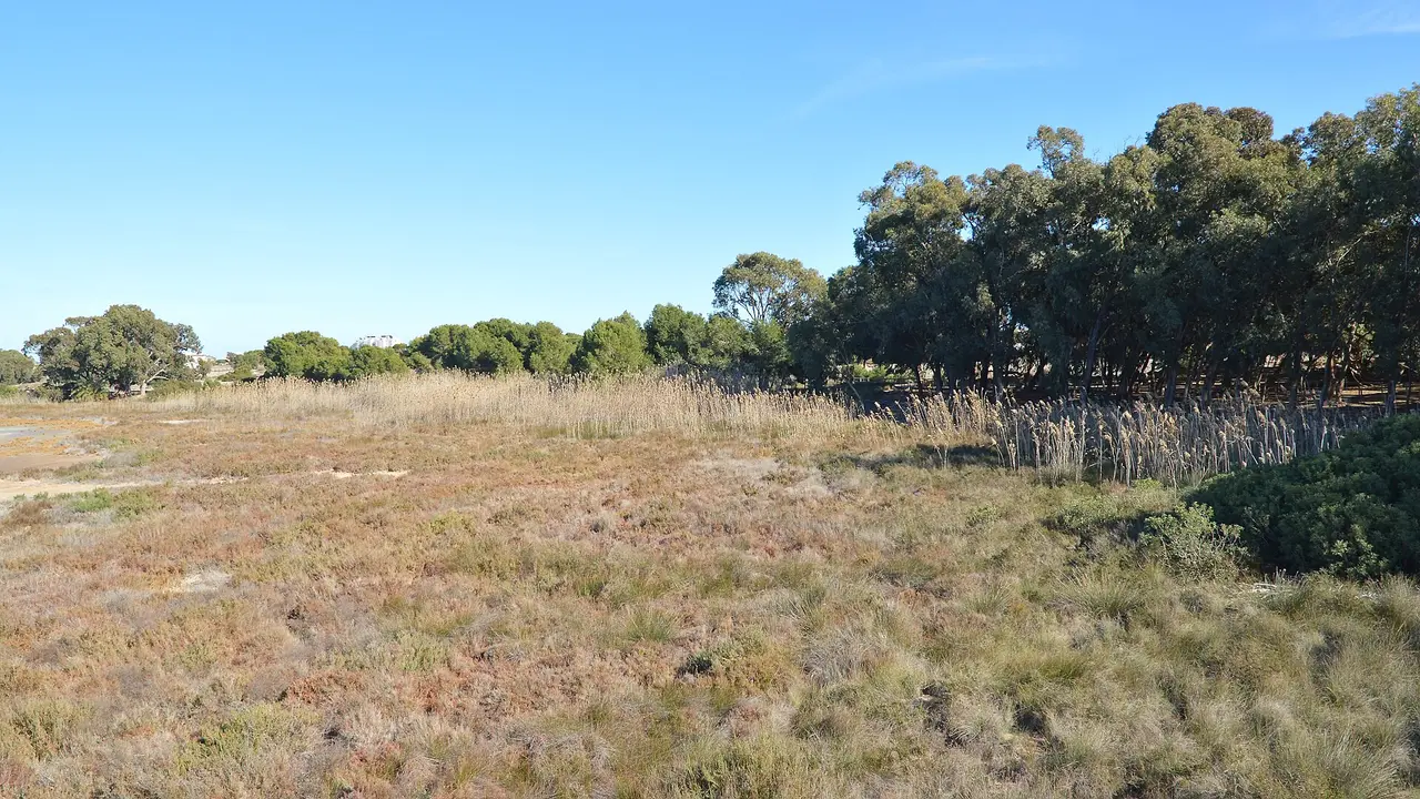 Laguna de La Mata